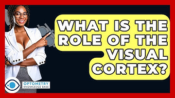 What Is The Role Of The Visual Cortex? - Optometry Knowledge Base