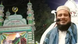 Peardanga Darbar Sharif || Syed Abul Bashar Saheb