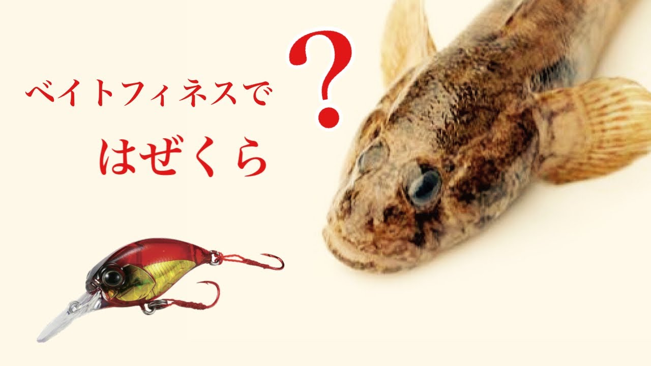 ベイトフィネスでハゼクラ