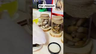 Okul Öncesi Fen Merkezi