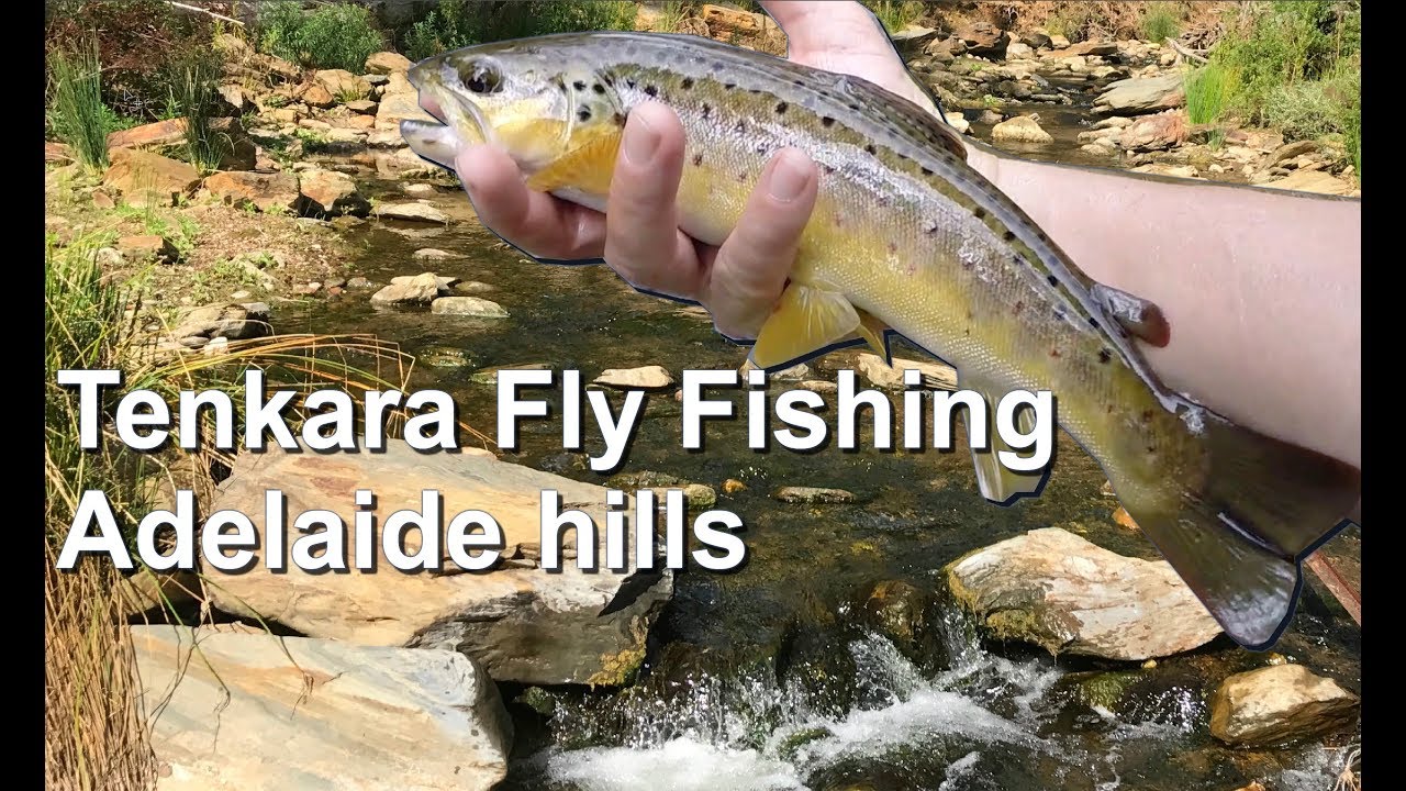 Tenkara Fly Fishing Adelaide Hills GOPRO YouTube