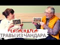 Галия Валеева: как взять на себя ответственность и построить успешный бизнес.