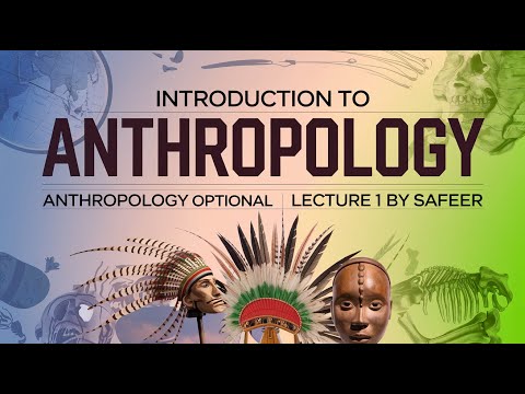 Coomers: An Anthropological Study Of Online Behavior
