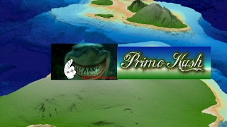 Primo Kushman Live Stream