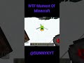 Wtf moment in minecraft | #minecraft #wtf #wtfmoments #shorts #parrot