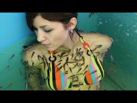 Video: Cách Chăm Sóc Cá Garra Rufa