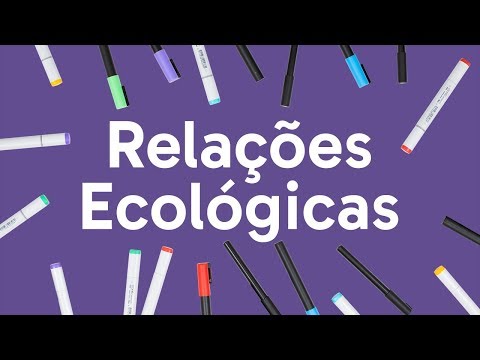 Vídeo: O que significa relação ecológica?