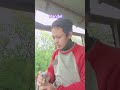 lemesin dulu #lucu #ngakak #fyp #viral