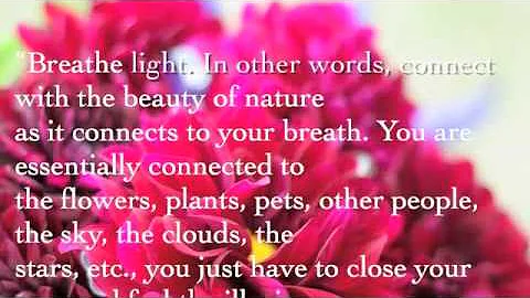 Inspirational Quotes from the author Nicolas Nobile