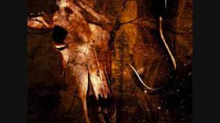 Coathanger Abortion - Leaves