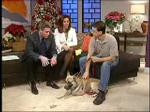 FOX 61 Jeff Valin & Joy Lim Nakrin - Dog adoption