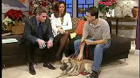 FOX 61 Jeff Valin & Joy Lim Nakrin - Dog adoption