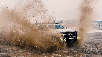 MOVE Bumpers - Born to Build