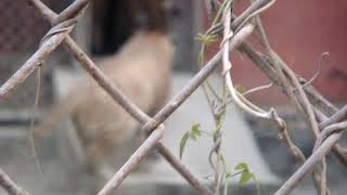 A Family Visit To Delhi Zoo Surweb 211