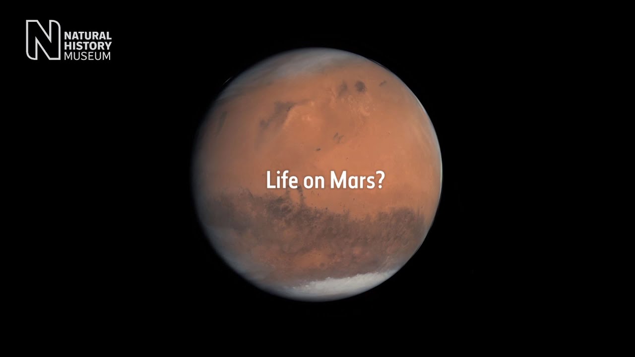 astronomy field of study Could life have formed on Mars? | Natural History Museum