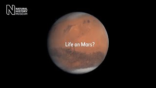 Could life have formed on Mars? | Natural History Museum