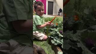 Release the Jabberwocky’s. Here comes Willow our Nikki Lynn Easter Bunny. ￼