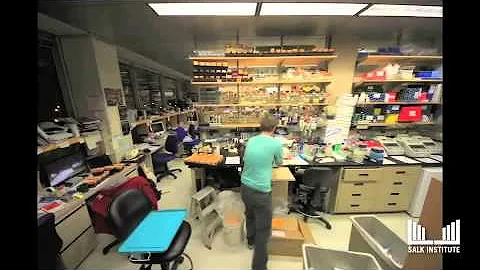 One day in the Chory Lab