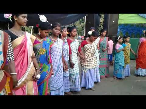 Santhali.dang.video.9654570794