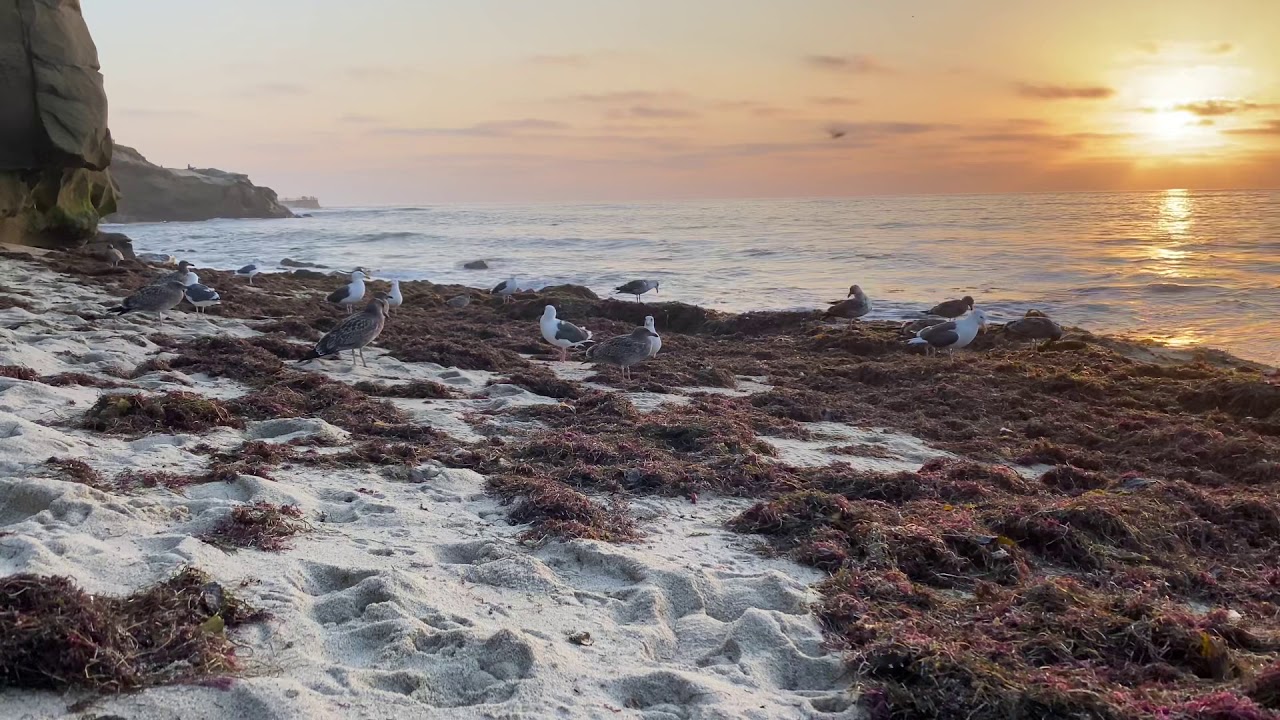 【California】 Boomer Beach 2 in San Diego