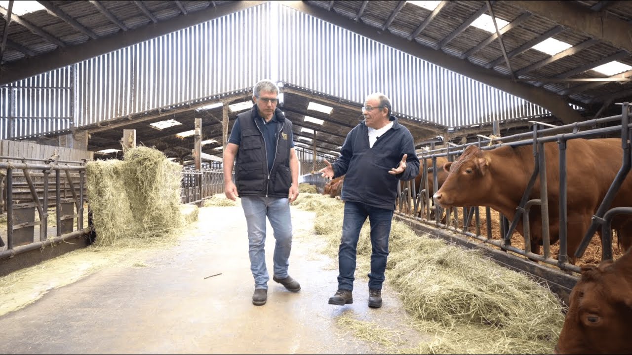 Sécher des balles carrées de foin en bâtiment solaire