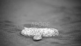 Houstones - Apode