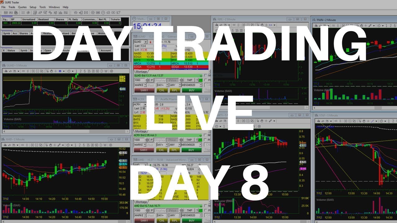 Day Trading | Day 8 Green Day |  $207 IN 7 SECONDS | $MDGS
