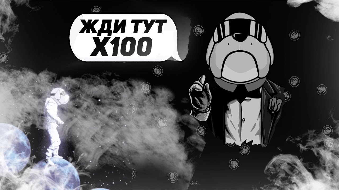 НОВАЯ КОПИЯ DOGE??? ПРОЕКТ HOGE - ПЕРСПЕКТИВА НА 100X