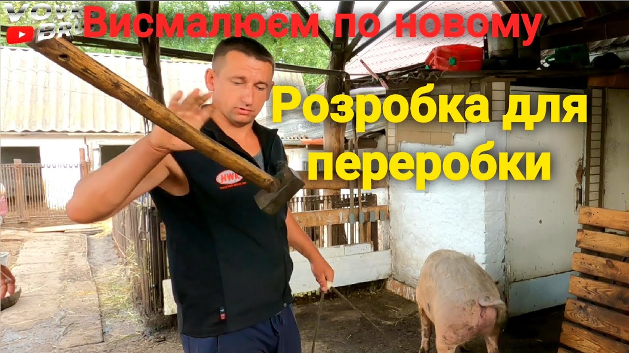 Розборка свині і висмалка сала для переробки! Сарай для свиней
