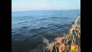 savesmoke.wmv