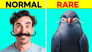 This Bird Has HUGE Mustaches 😱