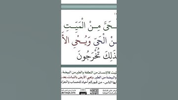 ما يتيسر من سورة الروم بصوت القارئ الشيخ محمود عشرى #قران_كريم #المصحف #yasseraldossary #اكسبلور