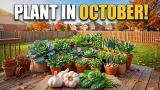 15 Container Vegetables You Should Plant in October ASAP