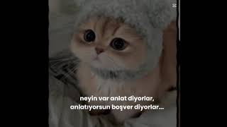 Yorum Yok🥺