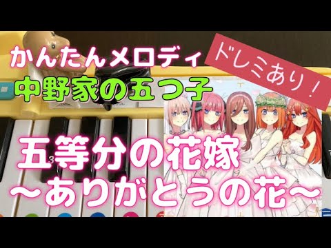 おもちゃピアノで｢五等分の花嫁～ありがとうの花～｣