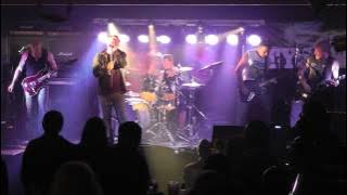 Tyson Dog - Hammerhead