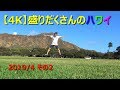 【4K】盛りだくさんのハワイ2019　その2