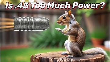 Squirrel and Chipmunk Pest Control... with a .45 cal