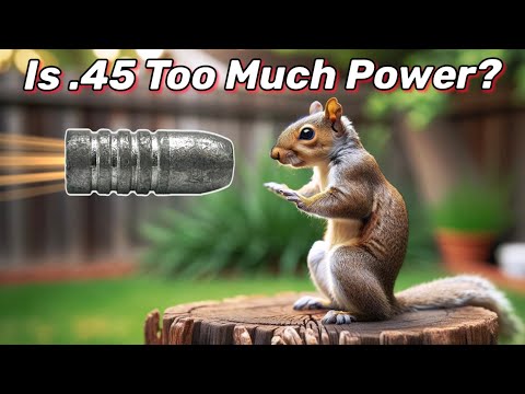 Squirrel and Chipmunk Pest Control... with a .45 cal