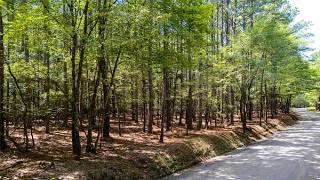 Sandlapper Drive, York, SC Presented by Ashley Watford.