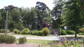 Parque de São Caetano