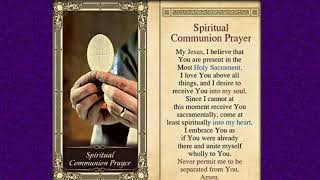 St. John Neumann Live