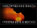 МИСТИЧЕСКИЕ ФАКТЫ: ПРИЗРАК ЧЕРНОГО КОТА В МОСКВЕ