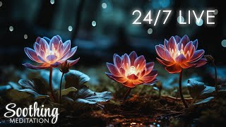 🔴 Relaxing Music 24/7, Stress Relief Music, Sleep Music, Meditation Music, Study, Calming Music