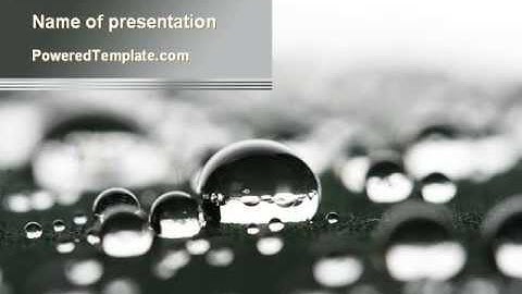 Water Drops in Black And White PowerPoint Template by PoweredTemplate.com