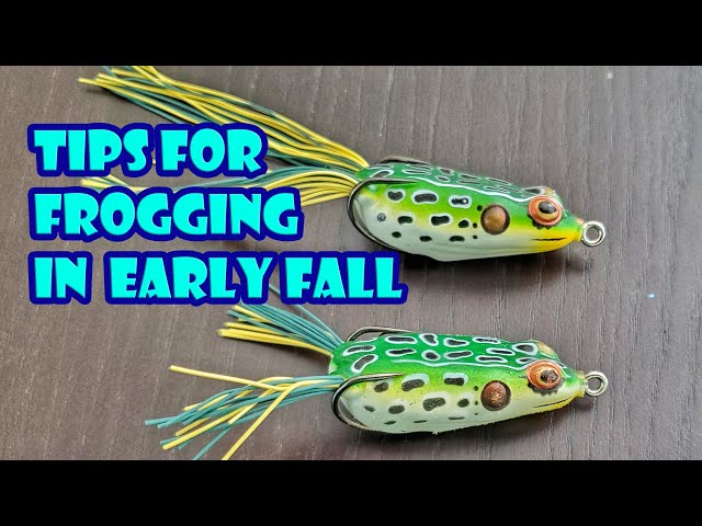 Fall Top Water Frog Fishing Tips Booyah Pad Crasher Jr 