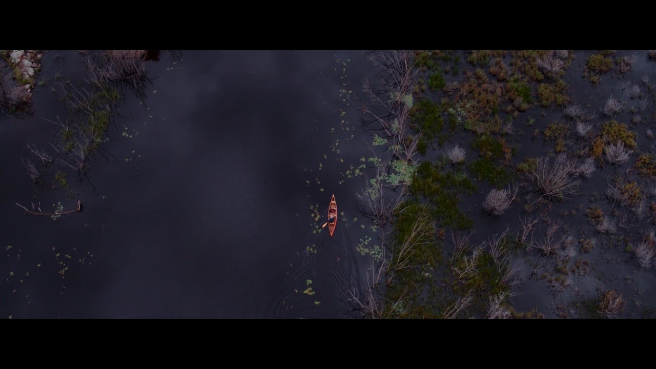 John Hartman - High Water