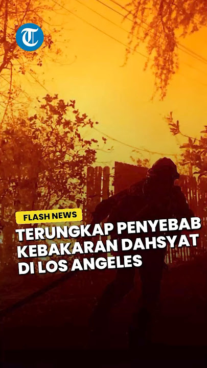 Terungkap! Penyebab Kebakaran Dahsyat yang Hanguskan Rumah Artis Hollywood, Ribuan Hektare Ludes