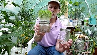 DIY Hydroponic Mason Jar Micro Greens Planter