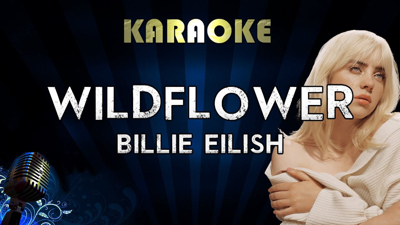 Billie Eilish - WILDFLOWER (Karaoke) Billie Eilish - WILDFLOWER (Karaoke)